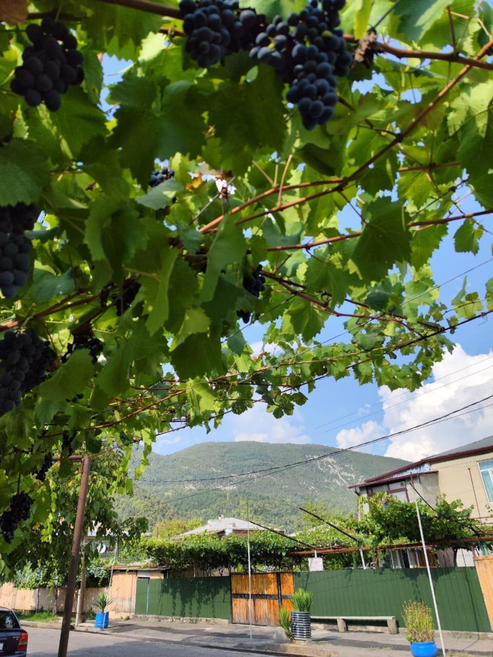 Hotel Chveni Ezo Ambrolauri Exterior foto